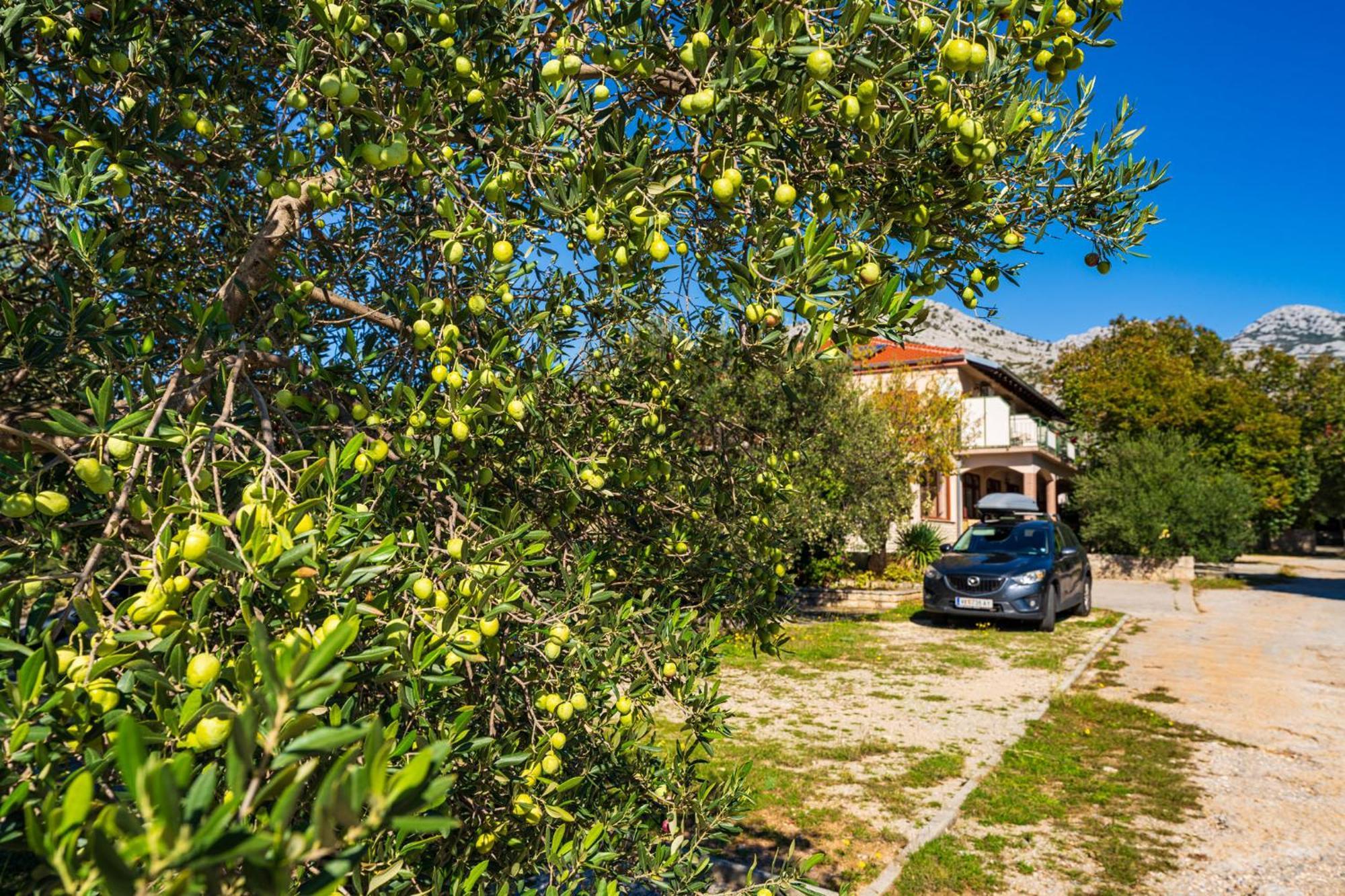 Apartments Adriana Starigrad Paklenica Exterior foto